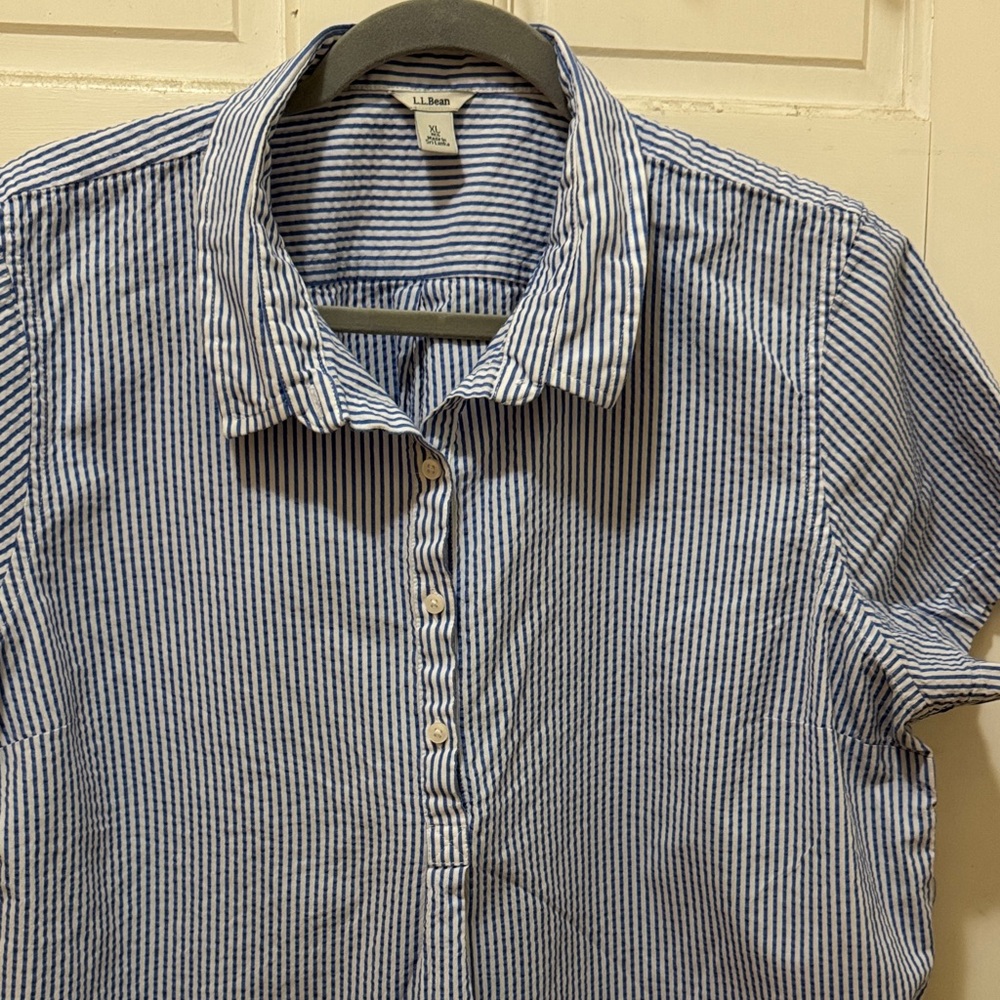 L.L. Bean Blue and White Striped Shirt - Picture 5 of 5